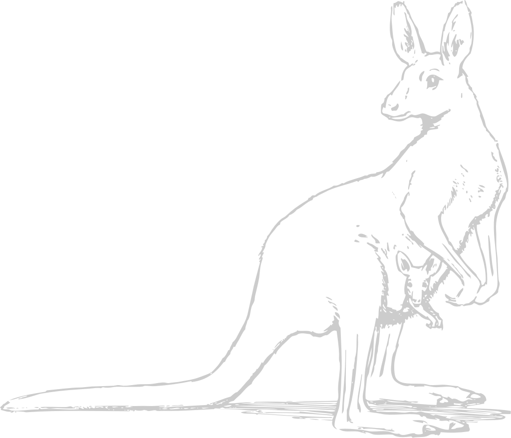 Animal Causes Kangaroo vector