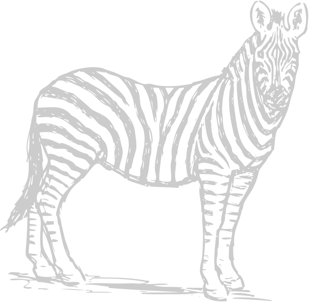 Animal Causes Zebra vector
