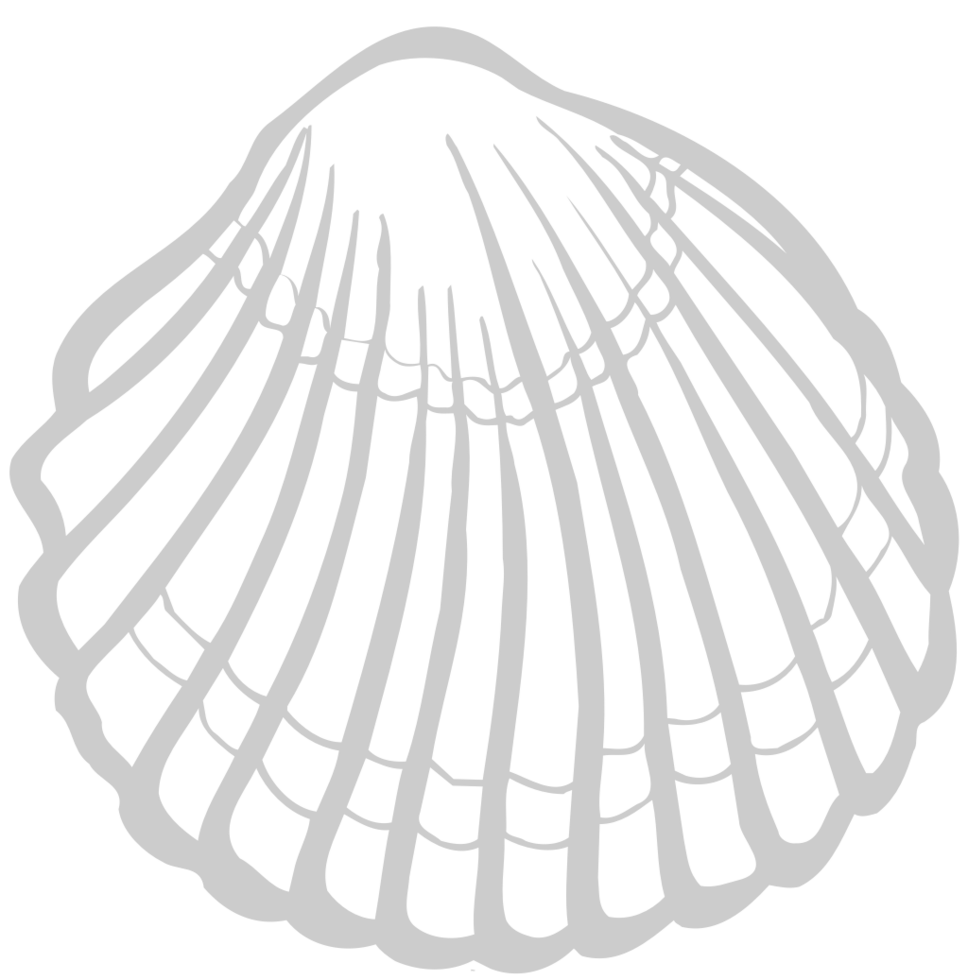 Shell vector