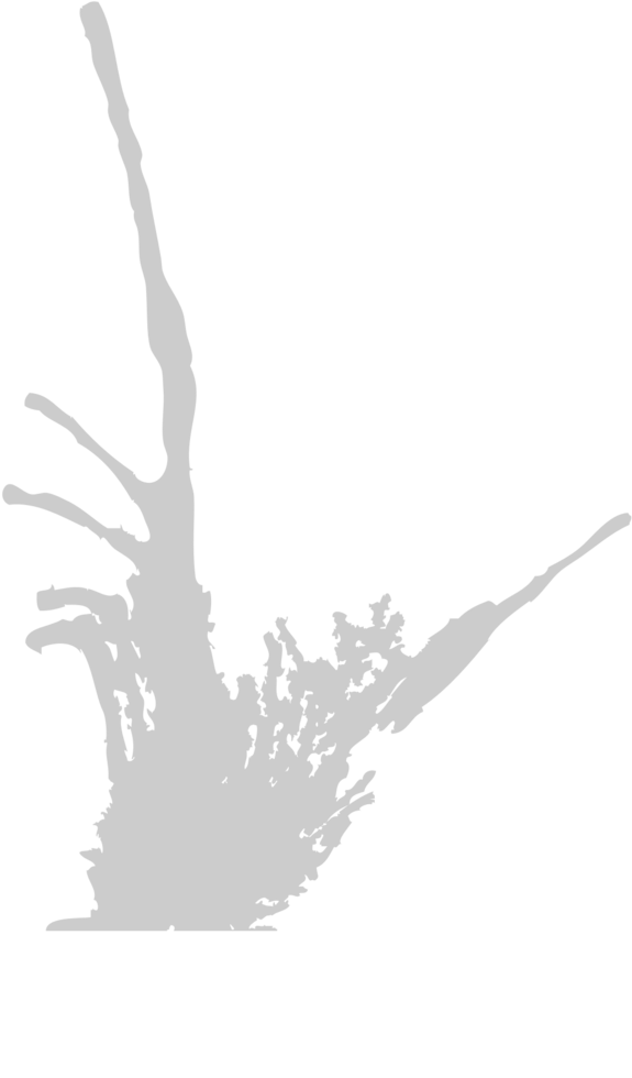 Splatter vector