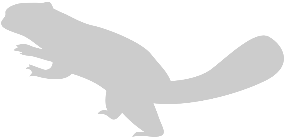 Beaver vector