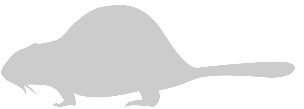 Beaver vector