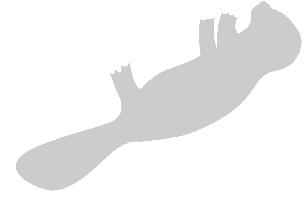 Beaver vector