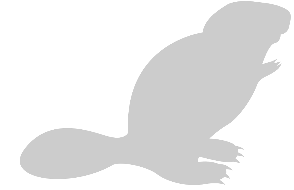 Beaver vector