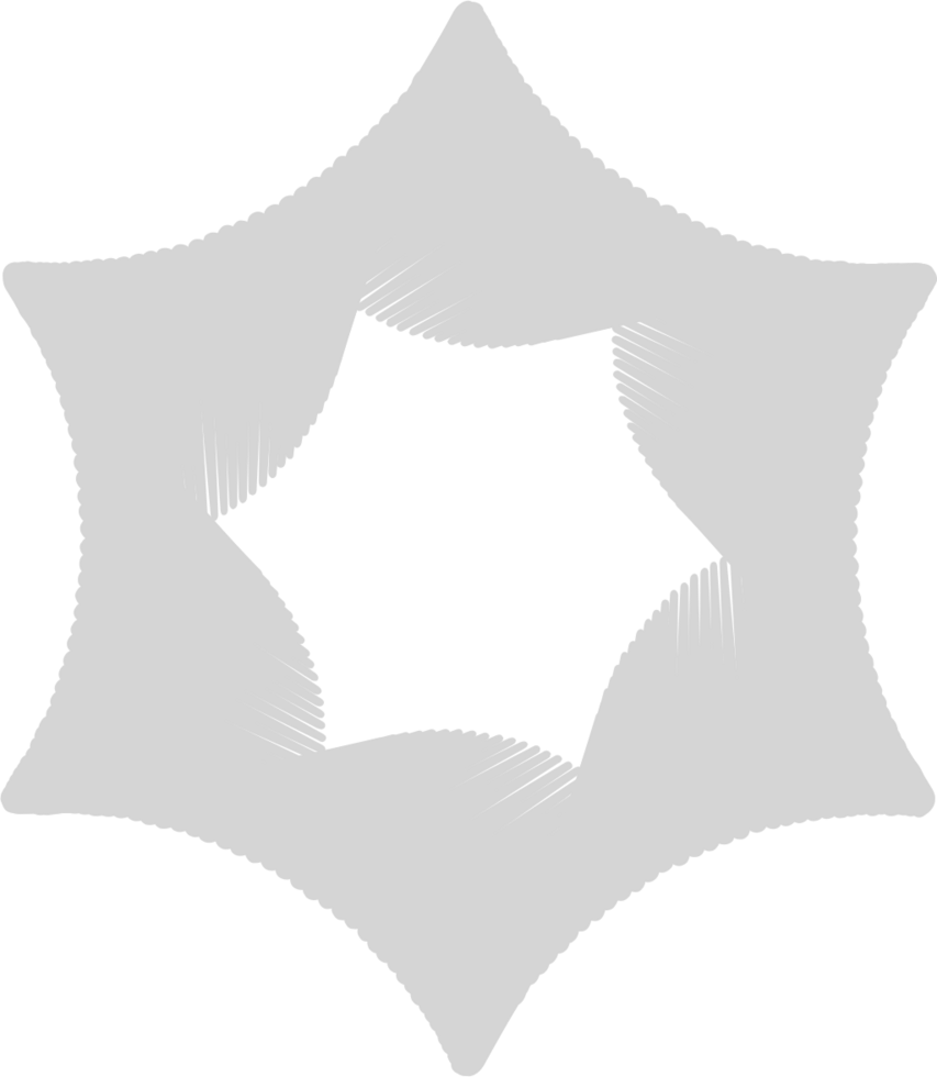 Star unique vector