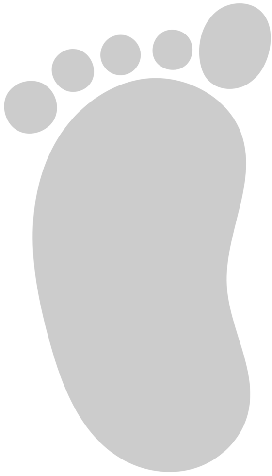 Footprints vector