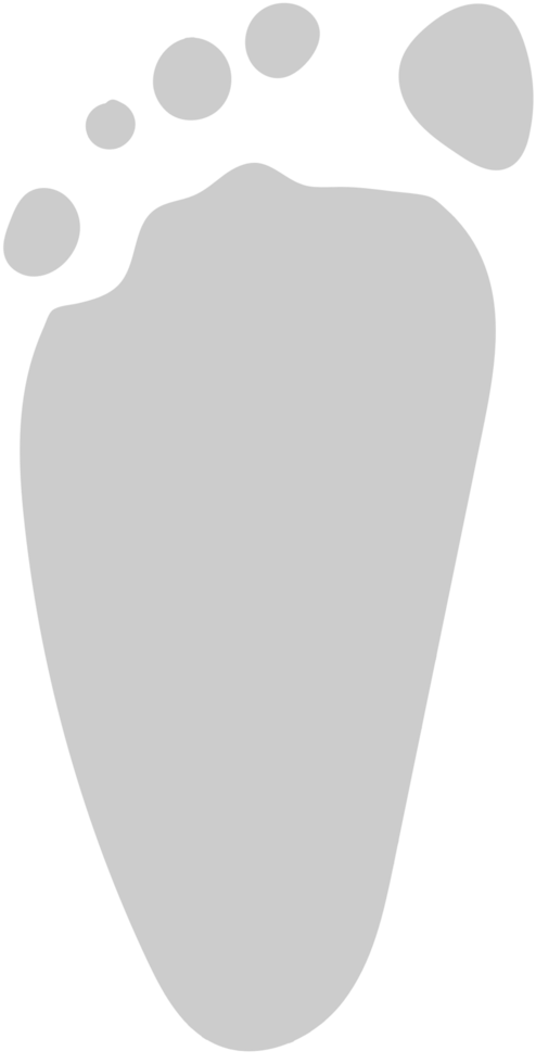 Footprints vector