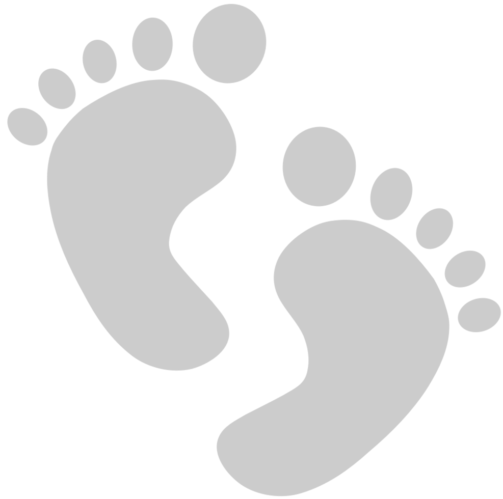 Footprints  vector