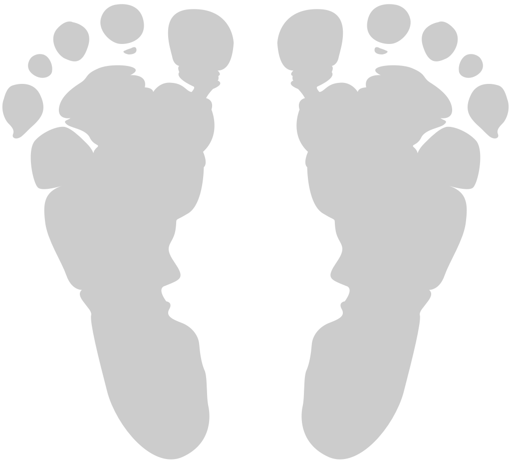 Footprints vector