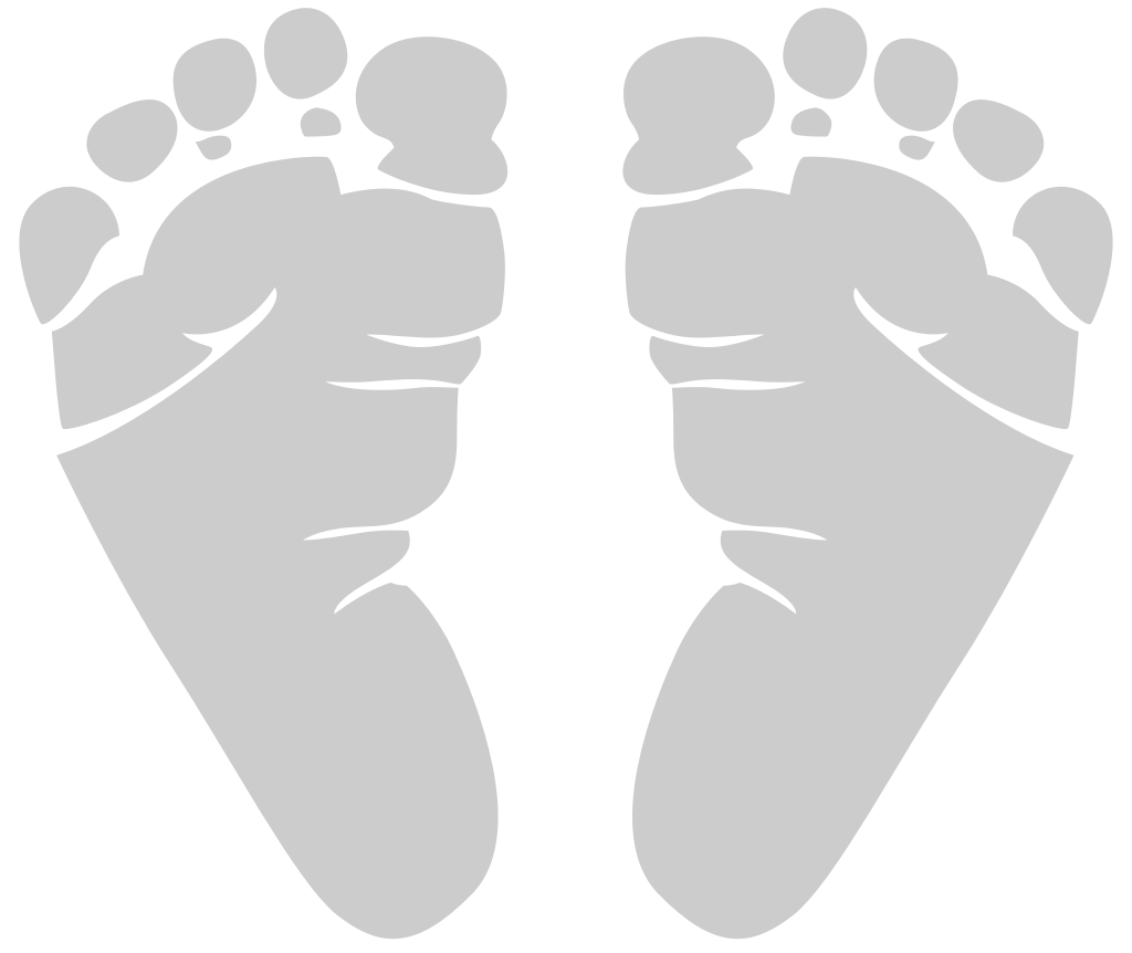 Footprints vector