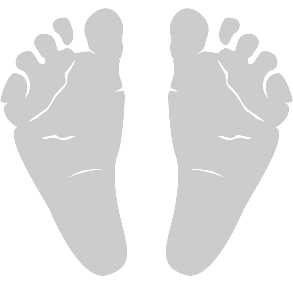 Footprints vector
