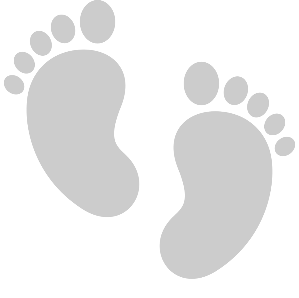 Footprints vector