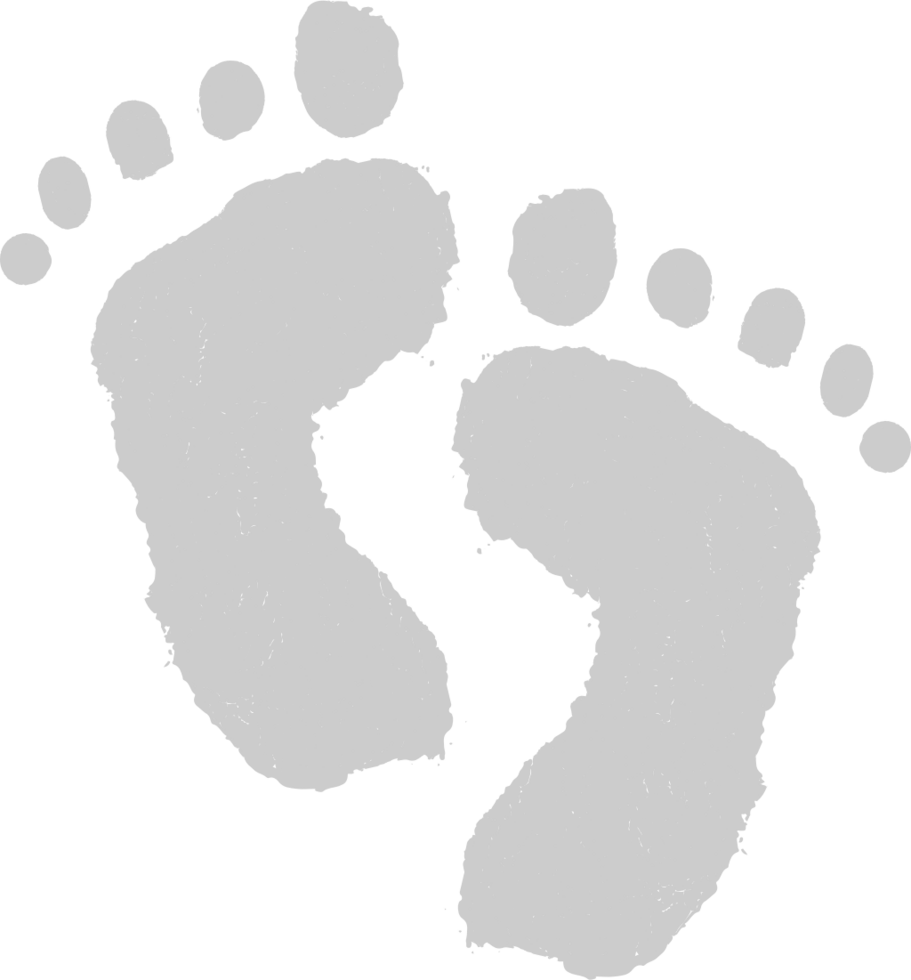 Footprints vector