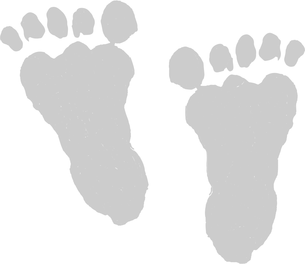 Footprints vector