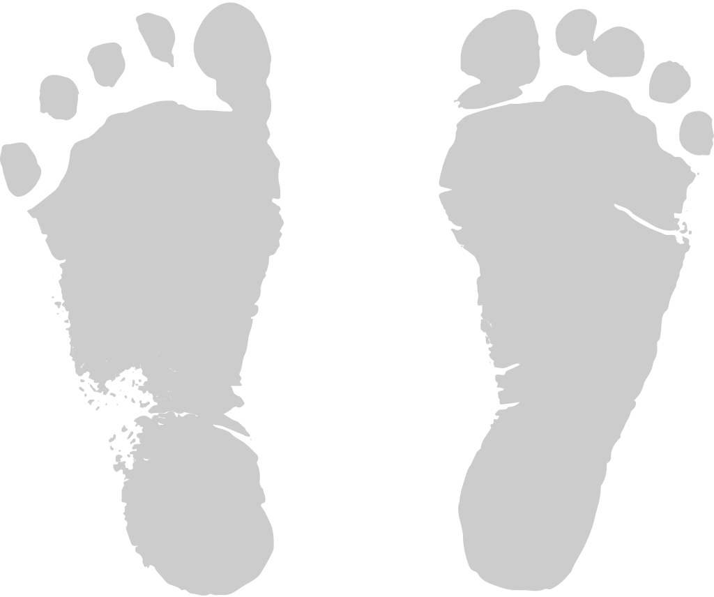 Footprints vector