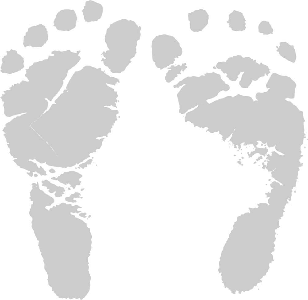 Footprints vector