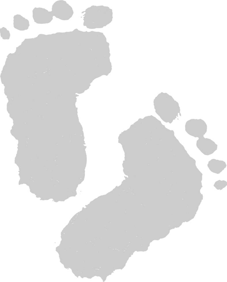 Footprints vector
