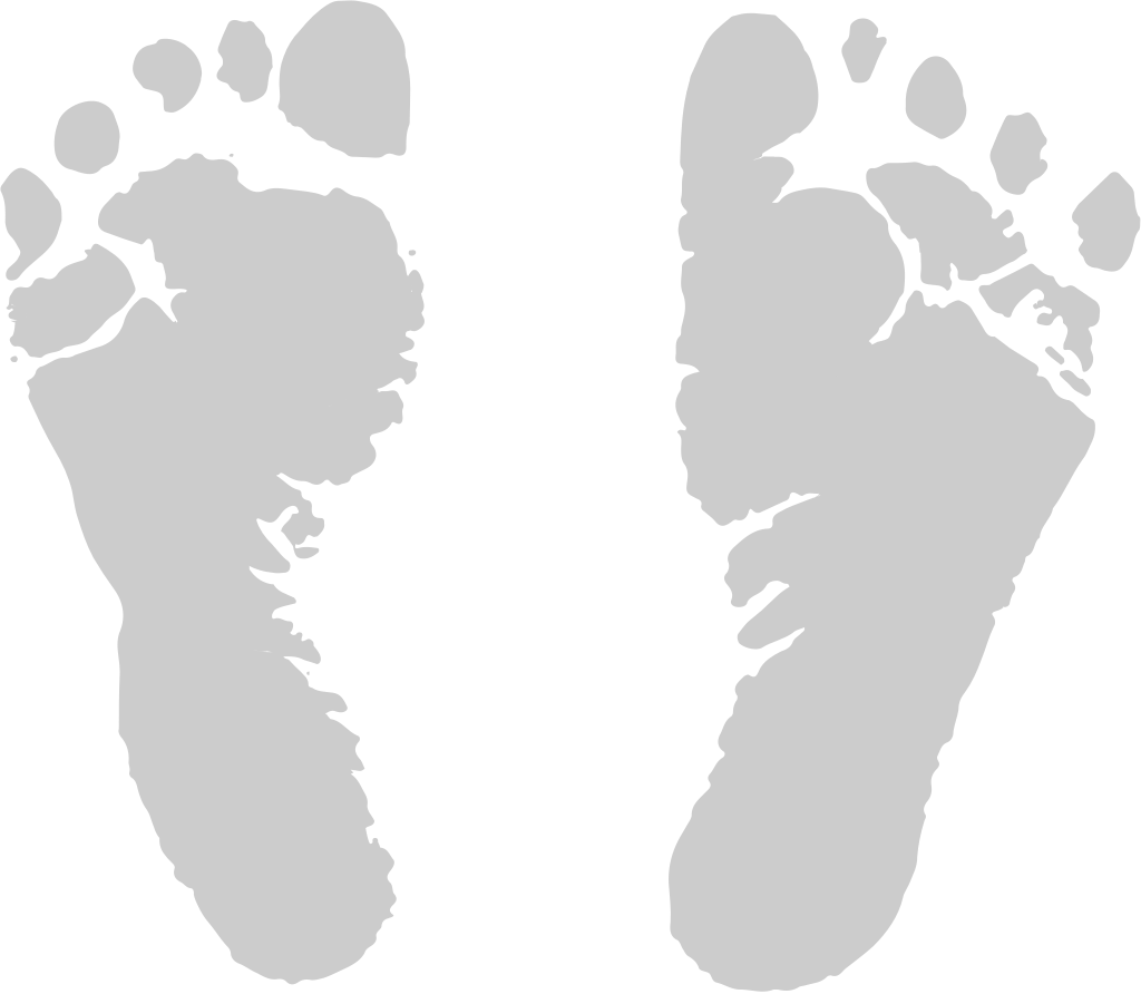 Footprints vector