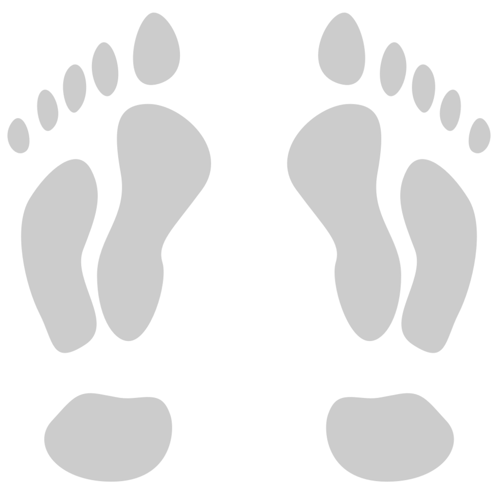 Footprints vector