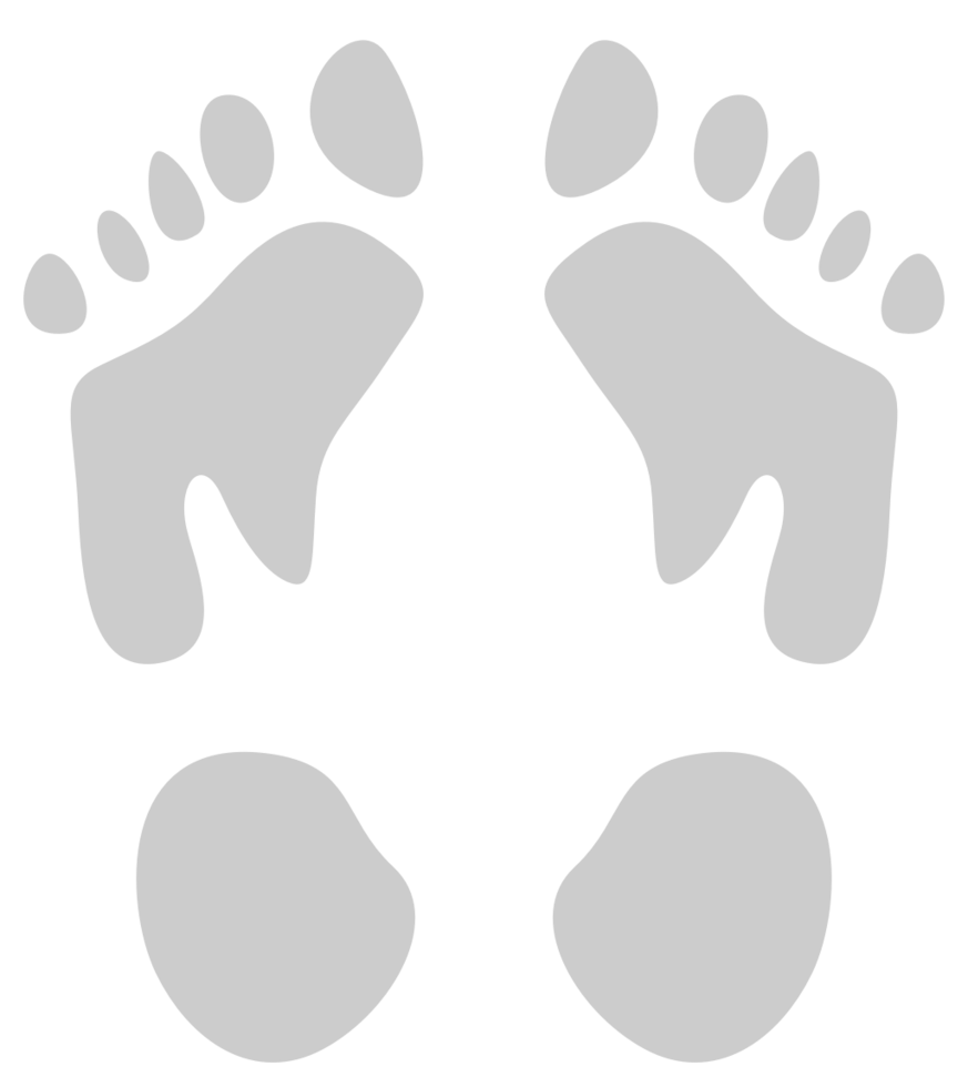 Footprints vector