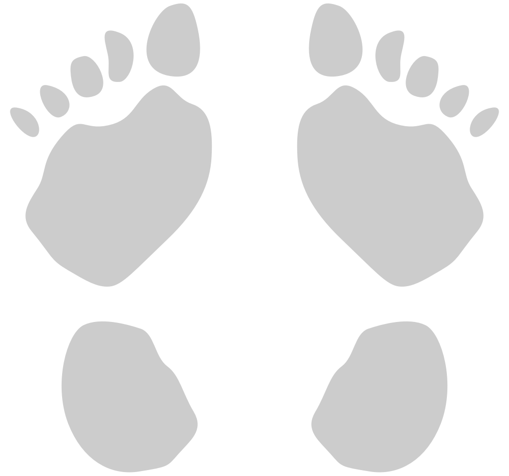 Footprints vector