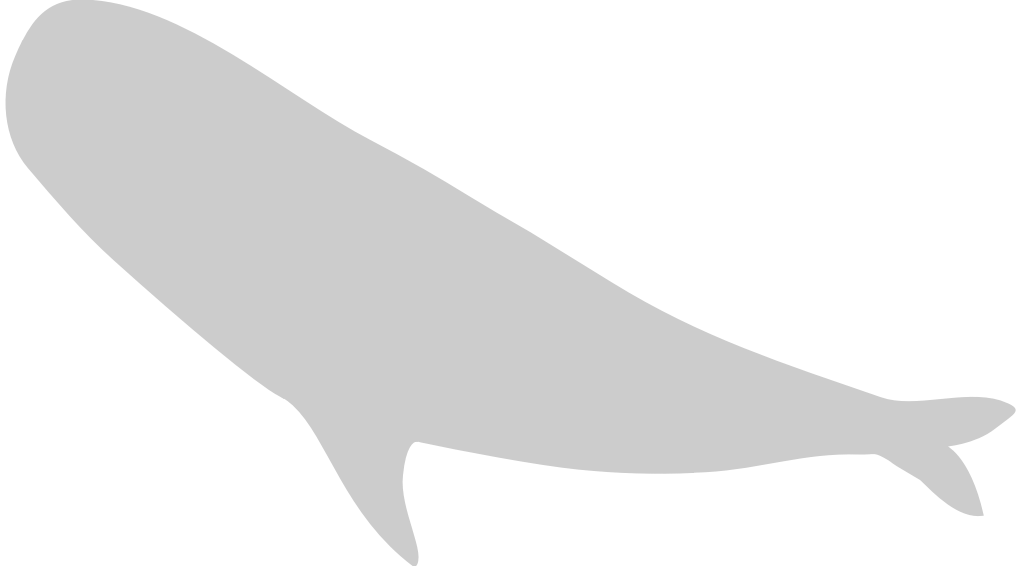 Whale vector