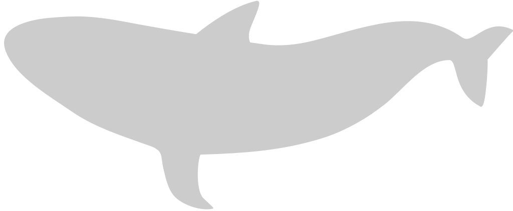 Whale vector