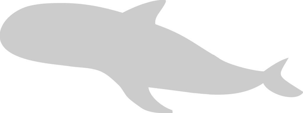 Whale vector
