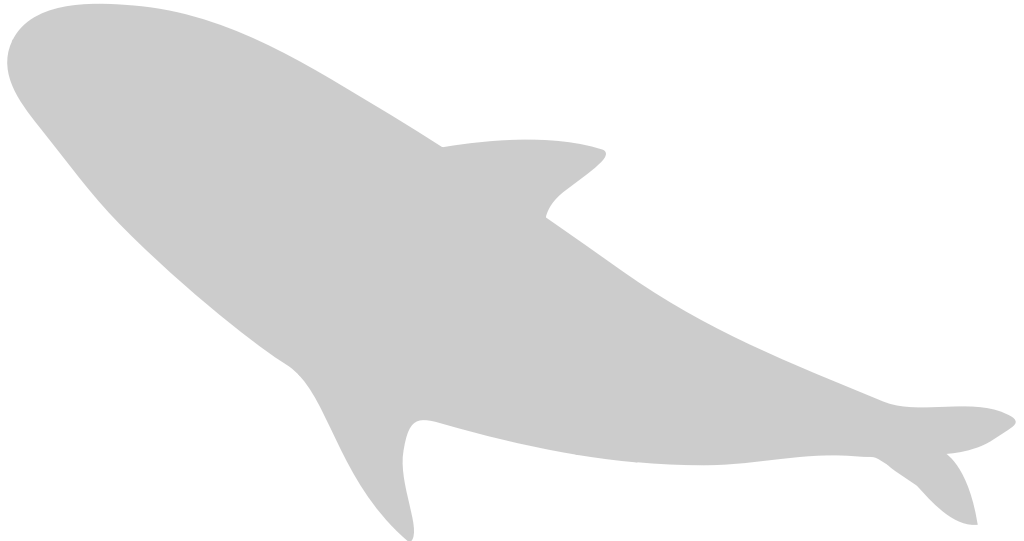 Whale vector