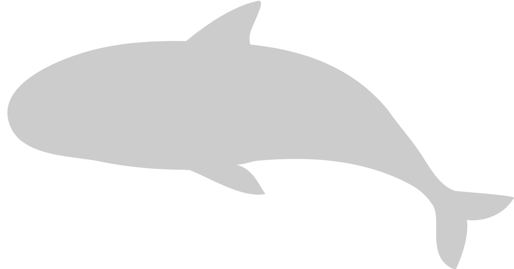 Whale vector