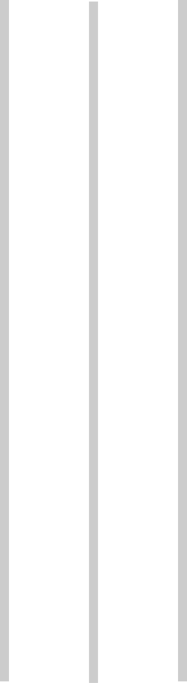 road surface marking vector