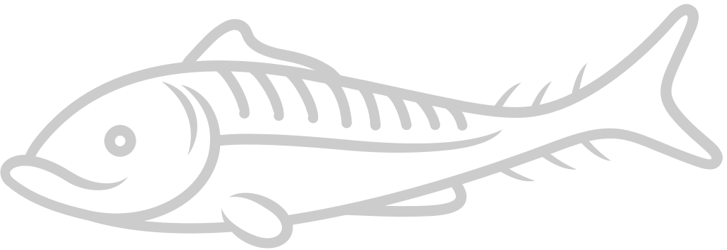 Fish  vector
