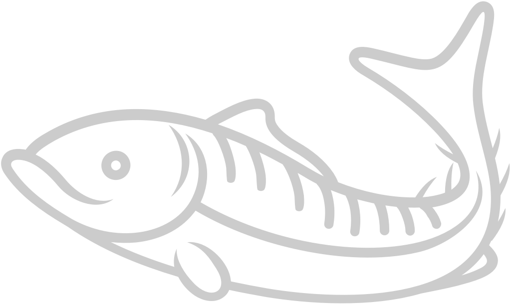 Fish  vector