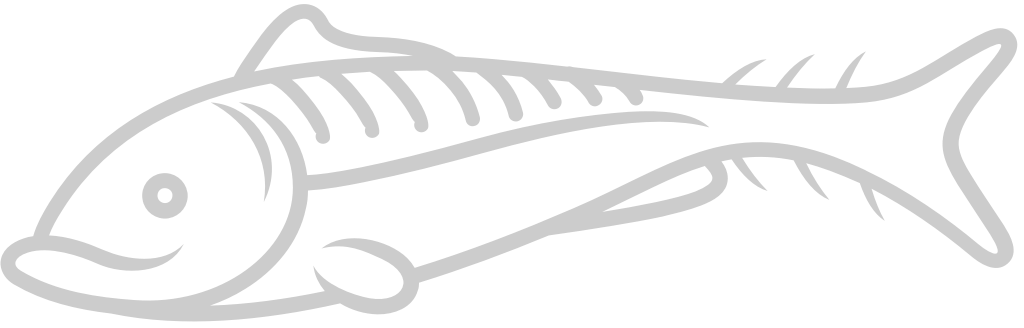 Fish  vector