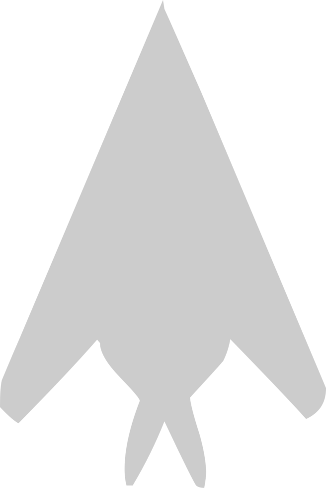 Aircraft vector