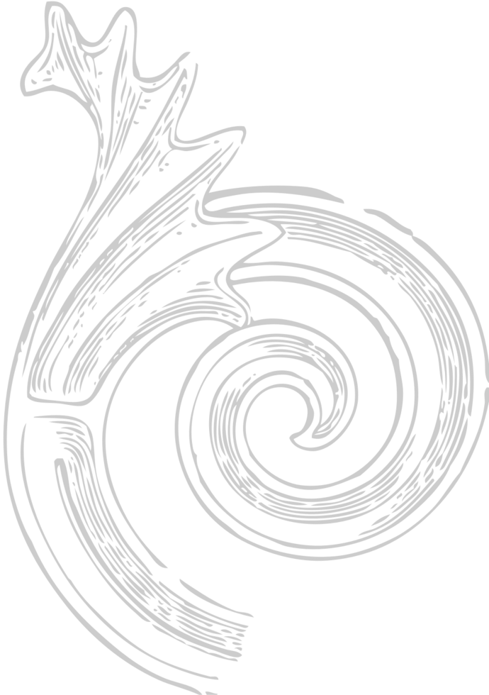 Decoration acanthus vector