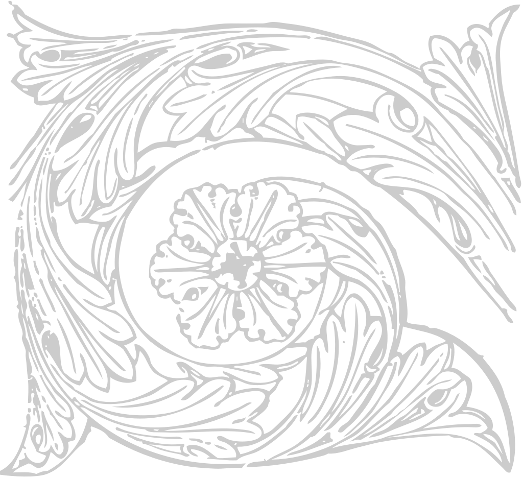 Decoration acanthus vector