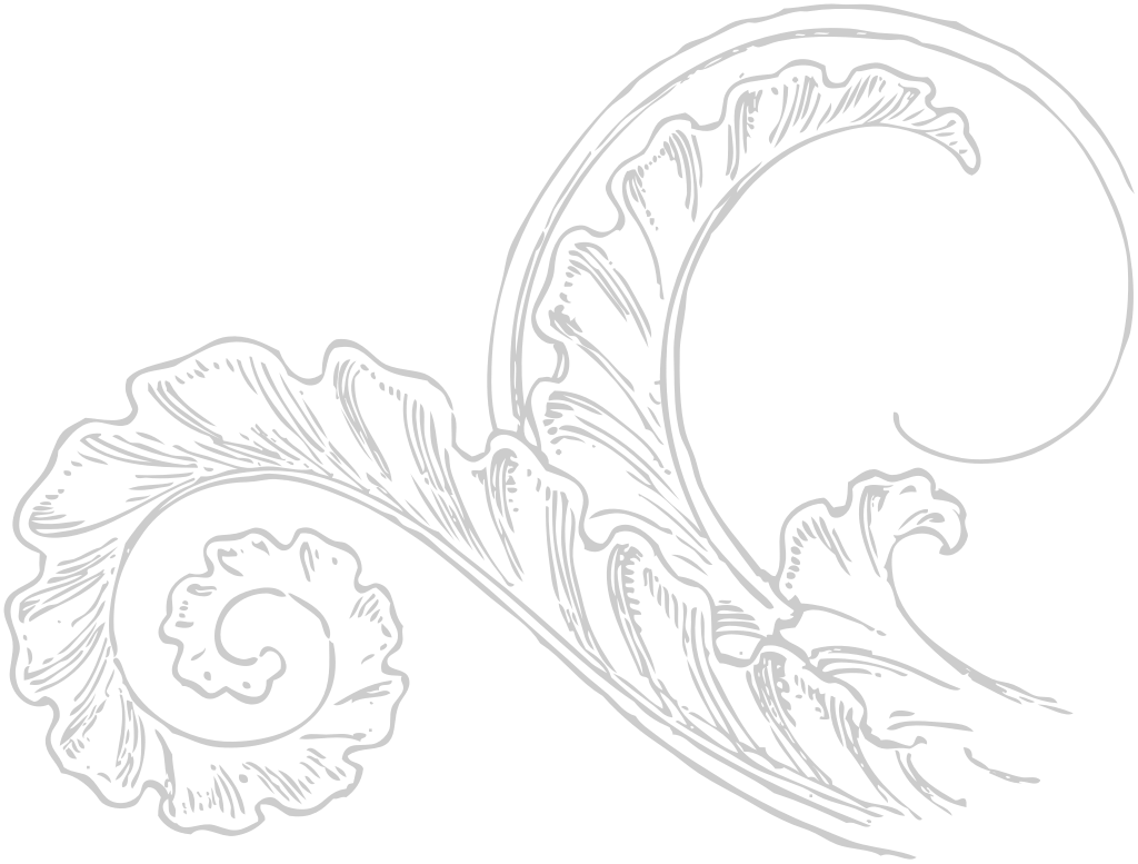 Decoration acanthus vector