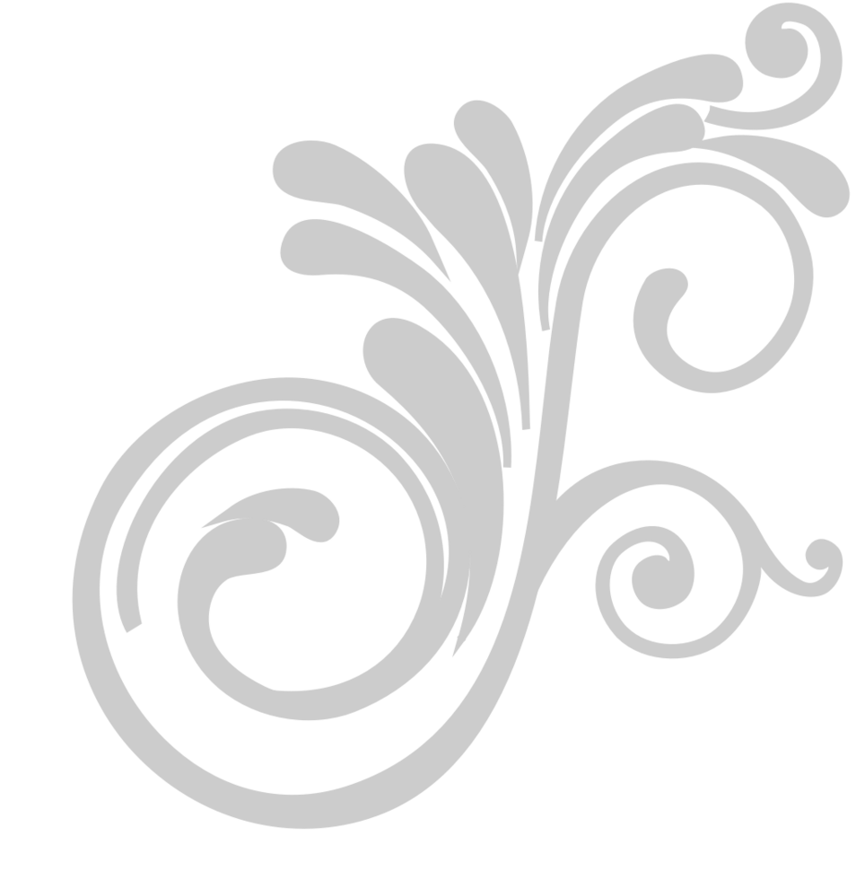 Decoration swirl vector