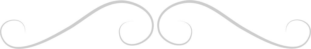 Decoration line  vector