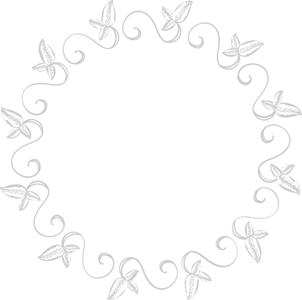 Decoration frame circle vector