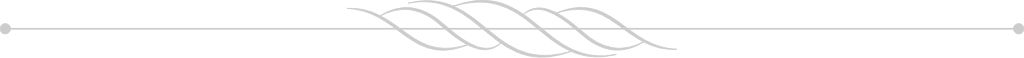 Decoration border line vector