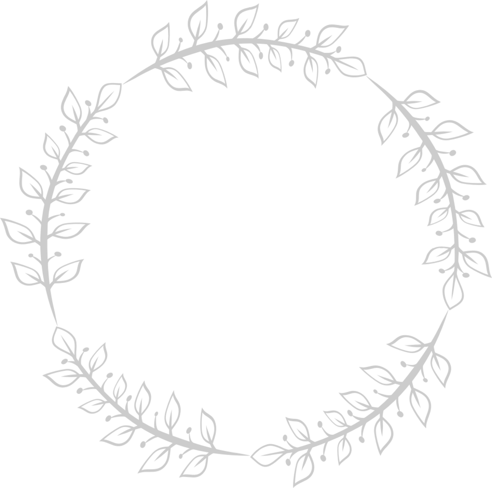 Decoration frame circle vector