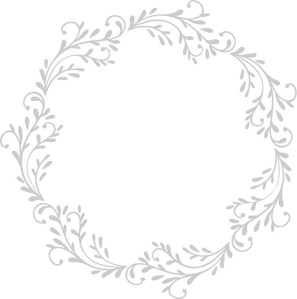 Frame vector