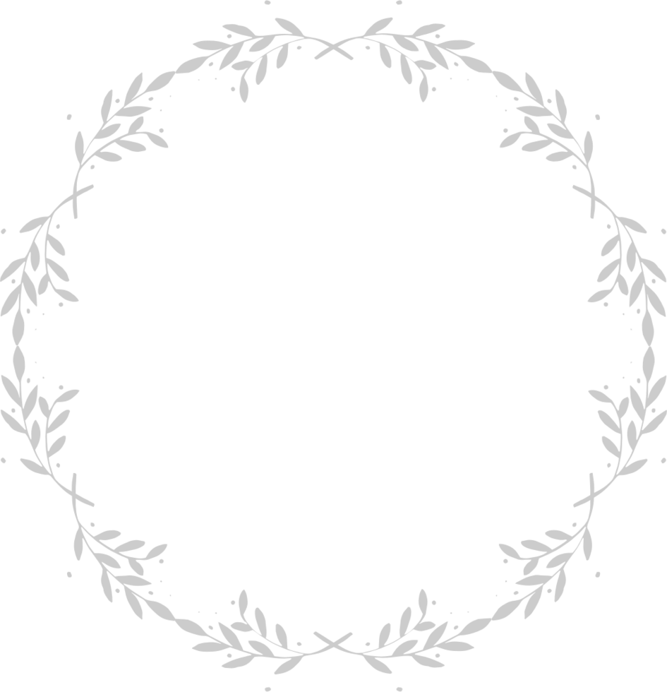Decoration frame circle vector