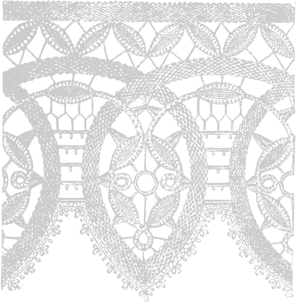 Decoration lace vector