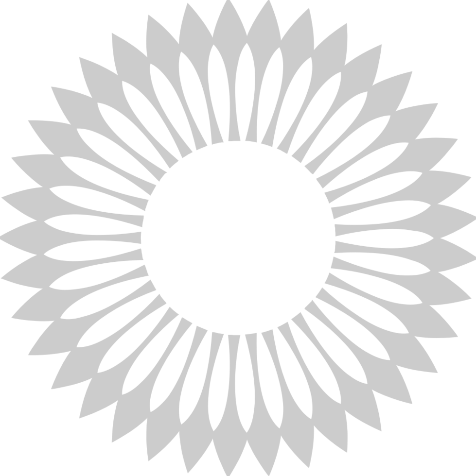 Decoration abstract circle vector