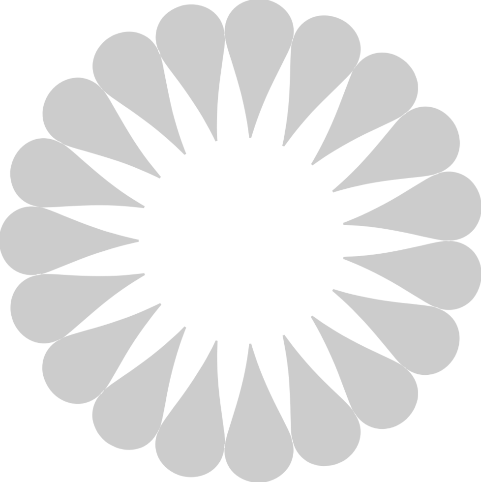 Decoration abstract circle vector