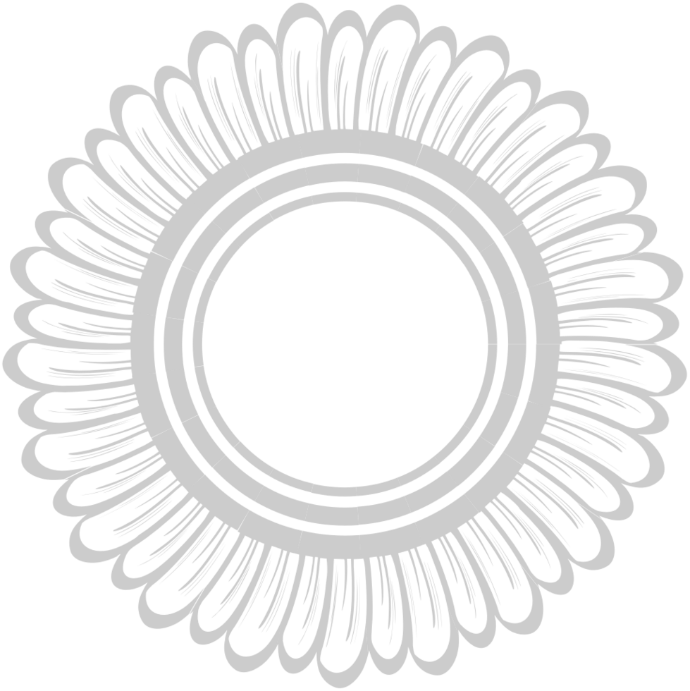 Decorative abstract circle vector