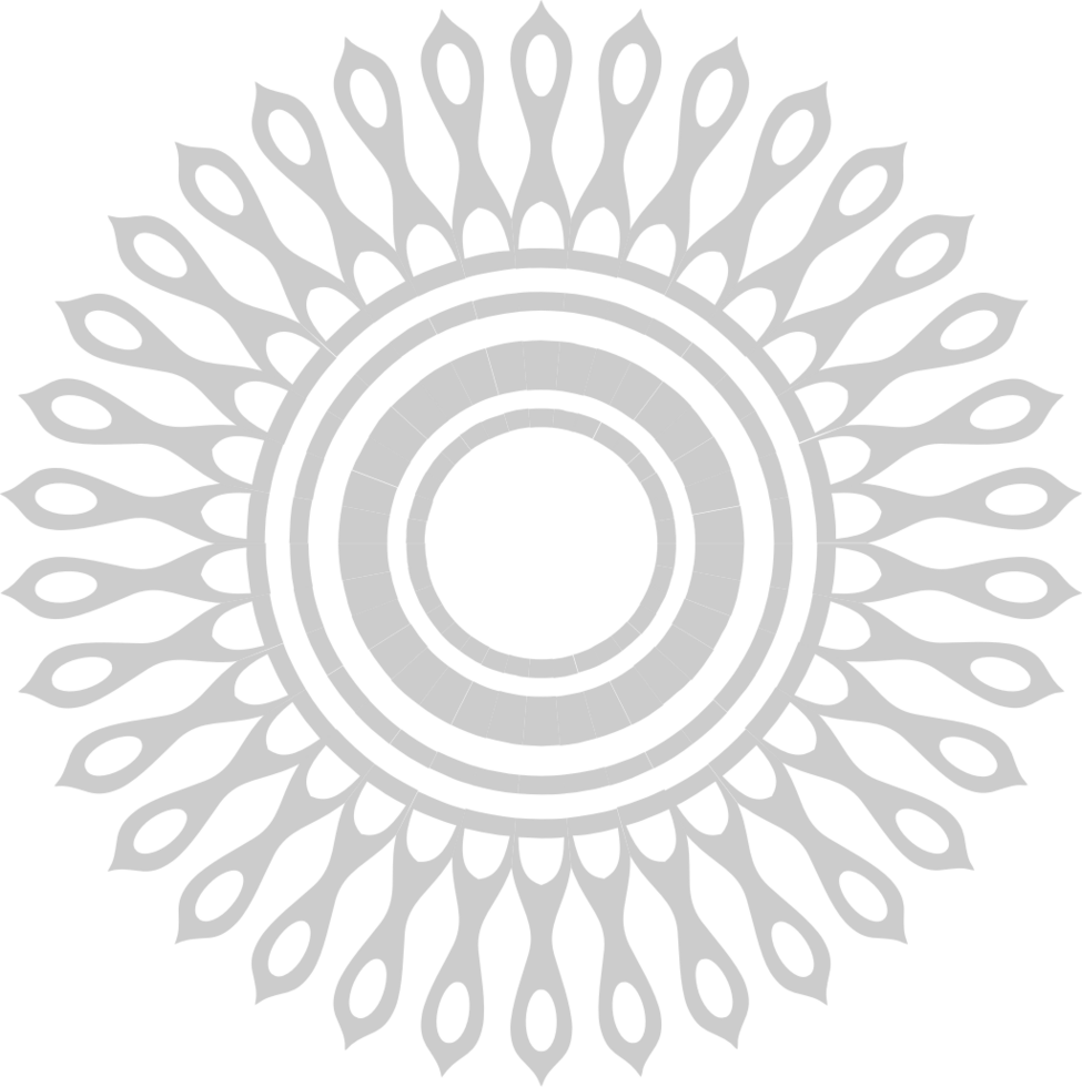 Decorative abstract circle vector
